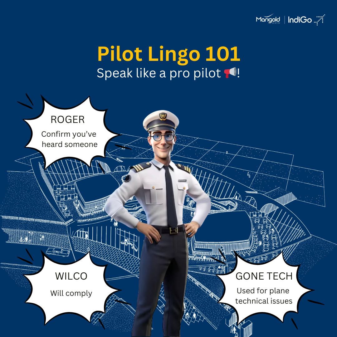 Marigold post: Pilot 101
