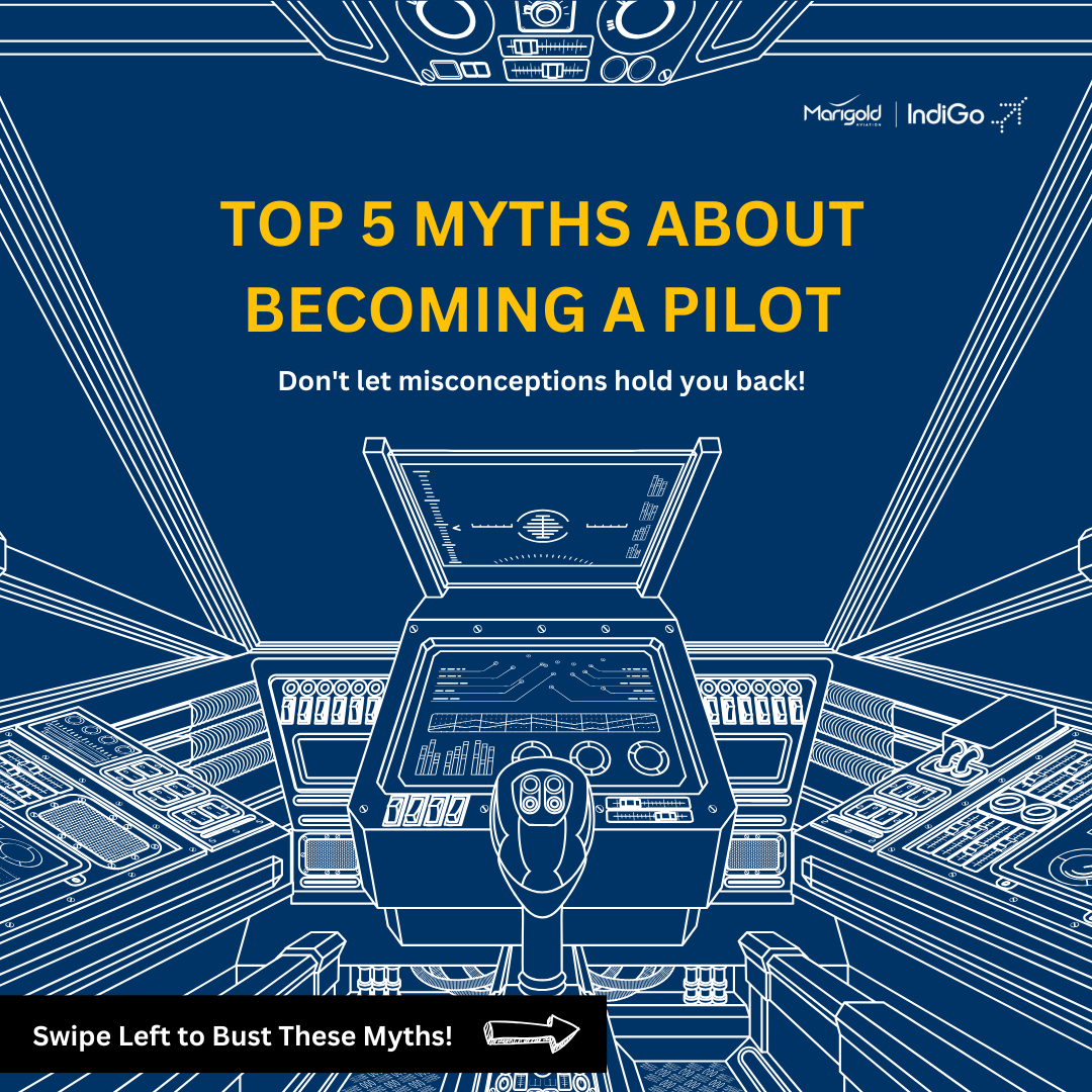 Marigold myths post 1